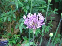 CIMG6414.webp