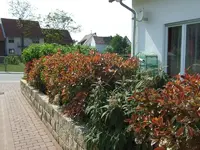 hecke 2011.webp