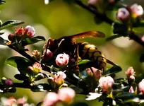 Kommunion 1.5 Leia  (168 von 262)z.webp