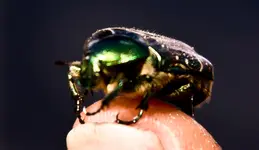 Kommunion 1.5 Leia  (179 von 262)z.webp