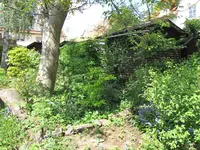 Mini-Wald.webp