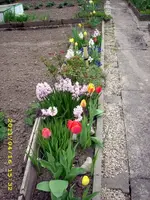 JD500389.webp