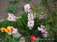 JD500390.webp