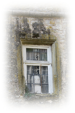 Weikersheim (2).webp
