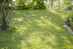 IMG_5897.gif