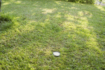 IMG_5898.gif