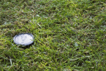 IMG_5899.gif
