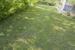 IMG_5900.gif