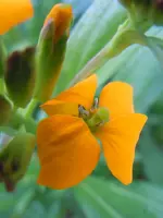 003.webp