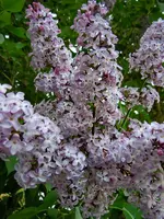 012.webp