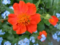029.webp