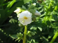 IMG_2275_1067x800.webp