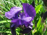IMG_swahili_1067x800.webp
