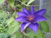 IMGP3650.webp