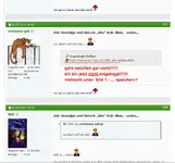 Gelis Fehler.webp