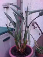 IMAG0040.webp