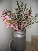 SAM_0330.webp