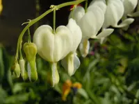 021.webp