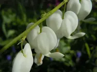 022.webp