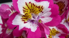 K800_003.webp