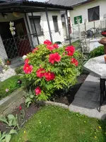 DSCN9346.webp