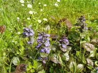 Bild 1.webp