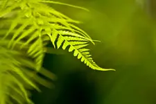 Botanische Erlangen  (163 von 215).webp
