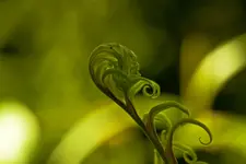 Botanische Erlangen  (153 von 215).webp