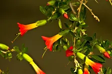 Botanische Erlangen  (82 von 215).webp