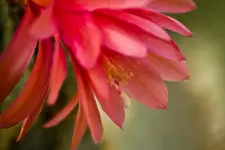 Botanische Erlangen  (86 von 215).webp