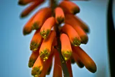 Botanische Erlangen  (92 von 215).webp