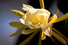 Botanische Erlangen  (104 von 215).webp
