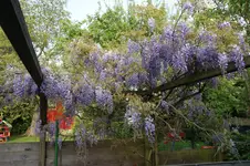 DSC05062.webp