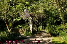 Botanische Erlangen 550D (4 von 77).webp