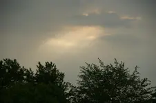 DSC05059.webp