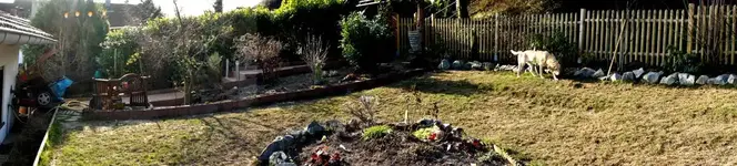 Garten 05. März 2011 (1 von 1).webp