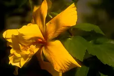 Botanische Erlangen  (60 von 215).webp