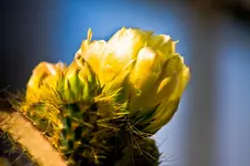 Botanische Erlangen  (87 von 215).webp