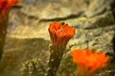 Botanische Erlangen  (95 von 215).webp