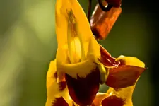 Botanische Erlangen  (116 von 215).webp