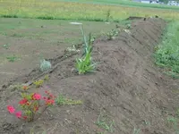 CIMG8445.webp