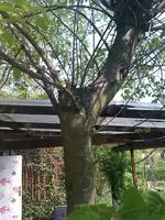 IMAG0178.webp