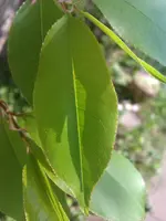 IMAG0179.webp