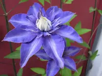 IMG_0178.webp