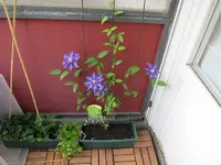 IMG_0177.webp