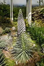 Botanische Erlangen 550D (5 von 77).webp