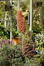 Botanische Erlangen 550D (6 von 77).webp