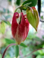 116.webp