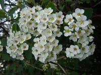 073.webp