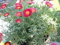 IMG_2782.webp